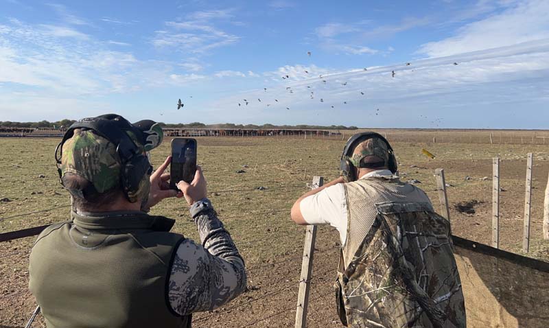 Rancho-Salvaje-Safari-Hunting-Argentina-Pigeon-11