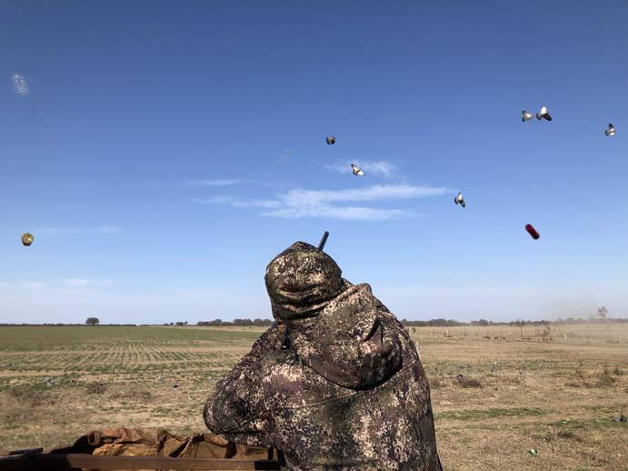 Rancho-Salvaje-Safari-Hunting-Argentina-Pigeon-12