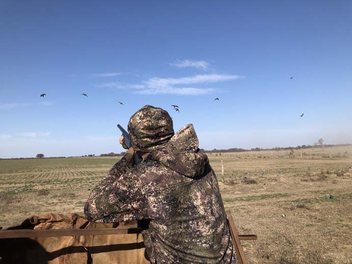 Rancho-Salvaje-Safari-Hunting-Argentina-Pigeon-3a