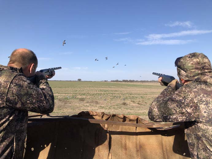 Rancho-Salvaje-Safari-Hunting-Argentina-Pigeon-4a