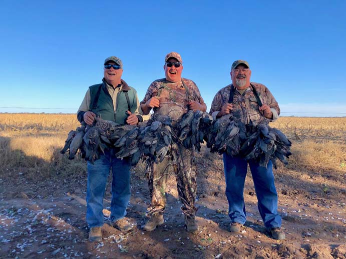 Rancho-Salvaje-Safari-Hunting-Argentina-Pigeon-1
