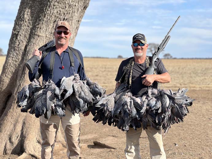 Rancho-Salvaje-Safari-Hunting-Argentina-Pigeon-6