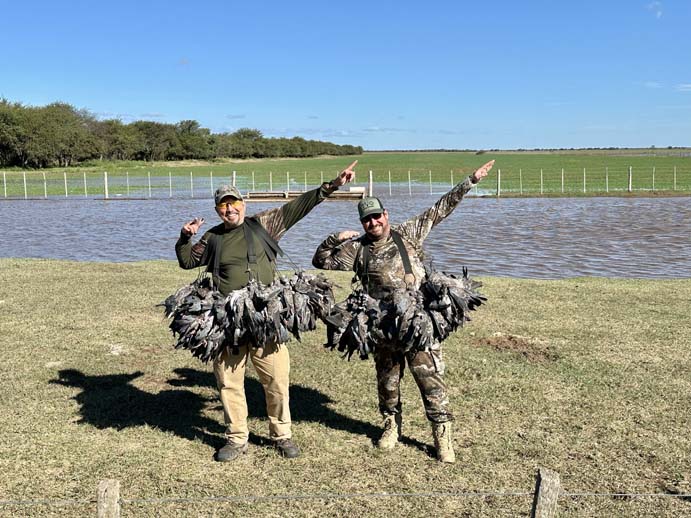 Rancho-Salvaje-Safari-Hunting-Argentina-Pigeon-8