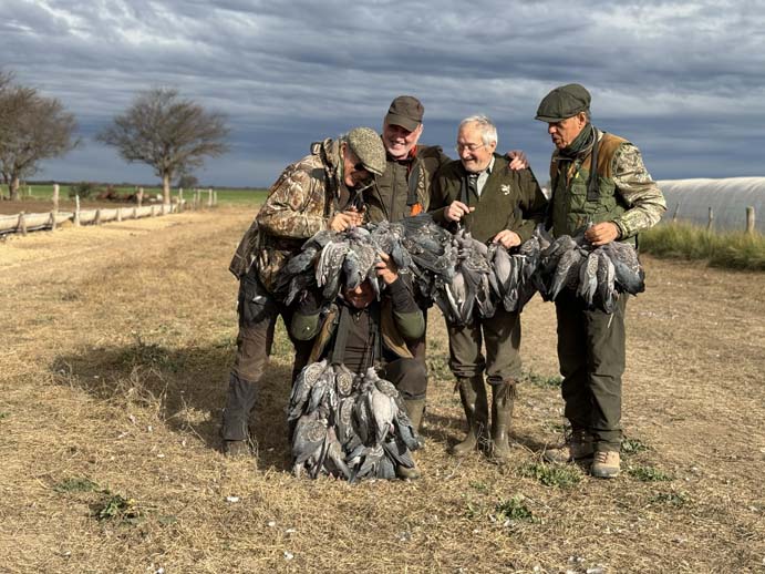 Rancho-Salvaje-Safari-Hunting-Argentina-Pigeon-9