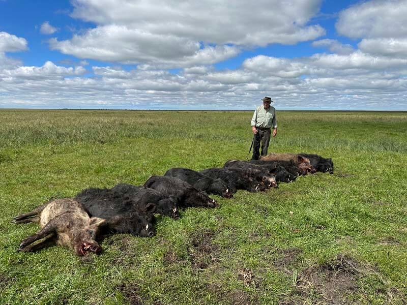 Rancho-Salvaje-Safaris-Wild-Boar-10