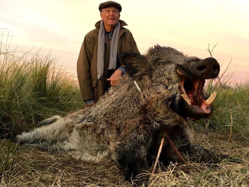 Rancho-Salvaje-Safaris-Wild-Boar-2