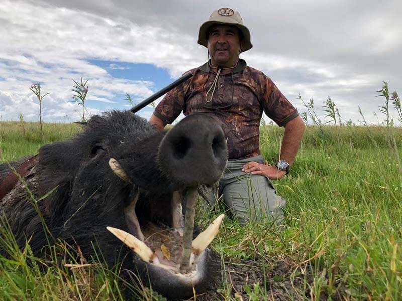 Rancho-Salvaje-Safaris-Wild-Boar-3